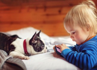 chiot bouledogue et bebe