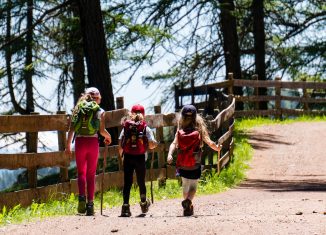 Trois enfants de dos qui font une randonnée à la montagne l'été