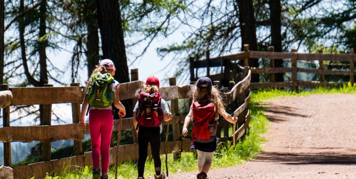 Trois enfants de dos qui font une randonnée à la montagne l'été